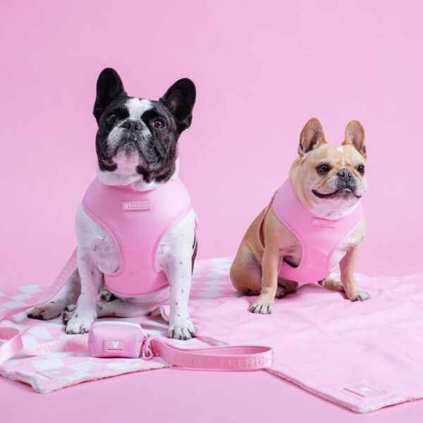 Frenchie Duo Reversible Harness - Pink Bubblegum - Image 2