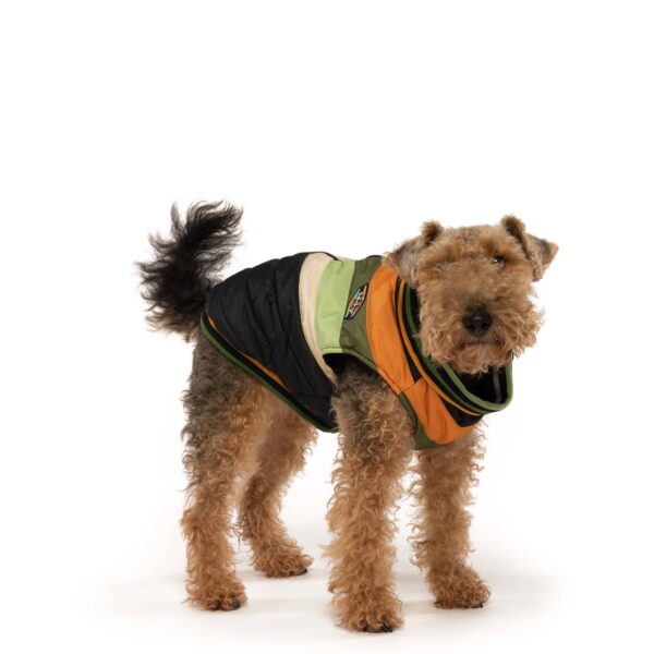 Chevron Dog Coat Black - Image 2