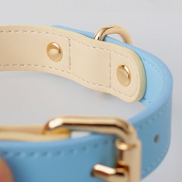 Loofie - Colorful Leather Dog Collar - Image 2