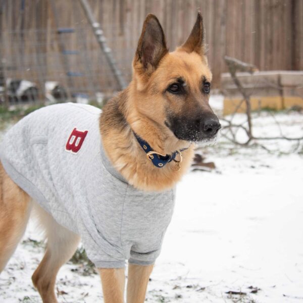 Baseball Fans Jacquard Dog Sweatshirt - Image 2