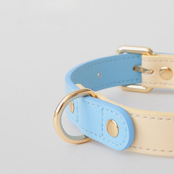 Loofie - Colorful Leather Dog Collar - Image 4