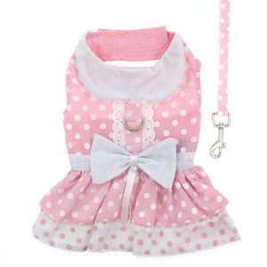 Polka Dot and Lace Dog Dress Set w/ Matching Leash
