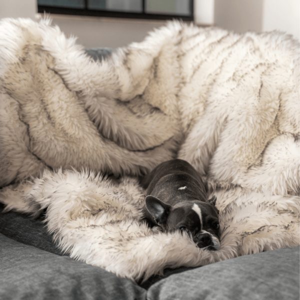 Pupprotector™ Waterproof Throw Blanket - Image 4
