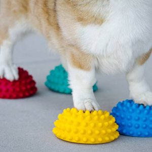 FitPAWS® Paw Pods