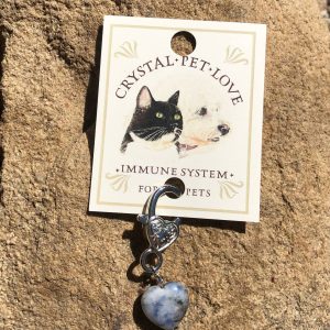 Sodalite Heart Immune Support Pendant