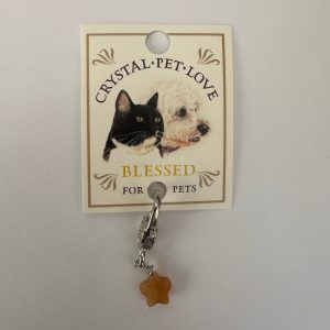 Citrine Blessed Pendant
