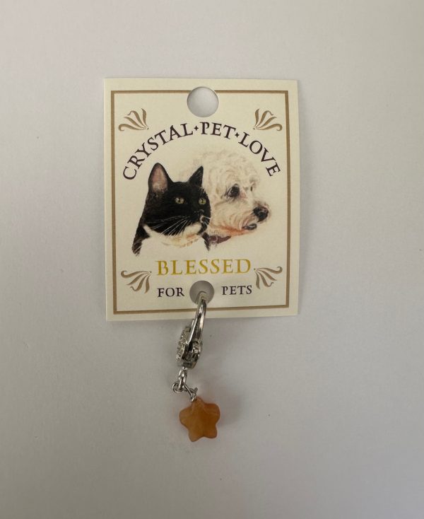 Citrine Blessed Pendant