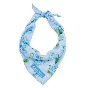 Frenchie Cooling Bandana