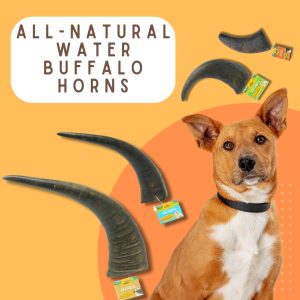 Water Buffalo Horns! Great For Aggressive Chewers!