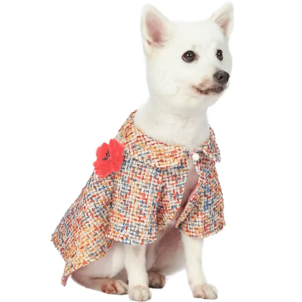 All-Weather Costume Dog Poncho - Image 2