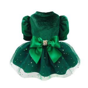 Fancy Tulle Dress
