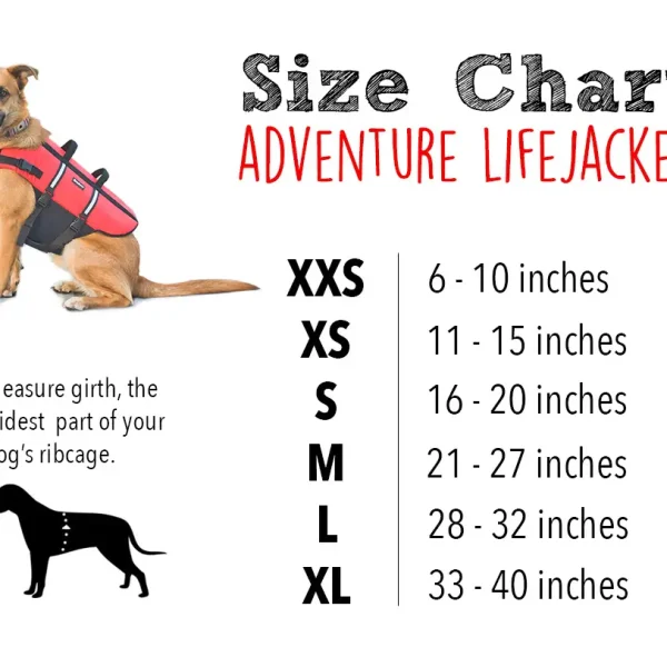 Adventure Dog Life Jacket - Image 4