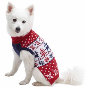 Tango Red Holiday Family Matching Sweater For Dogs